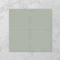 Picture of Grace Casa Fern (Satin) 200x200 (Rectified)