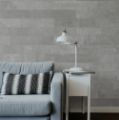 Picture of Forma Rivi Concrete (Matt) 600x118 (Rectified)