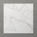 Picture of Aphrodite Statuario Ash (Matt) 600x600 (Rounded)