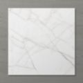 Picture of Aphrodite Statuario Wisp (Matt) 600x600 (Rounded)