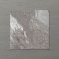 Picture of Pietra Ravine Fossil (Matt) 200x200 (Rectified)