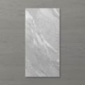 Picture of Pietra Ravine Silver Dollar (Matt) 600x300 (Rounded)