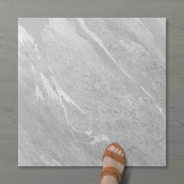 Picture of Pietra Ravine Silver Dollar (Matt) 600x600 (Rectified)