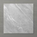 Picture of Pietra Ravine Silver Dollar (Matt) 600x600 (Rectified)