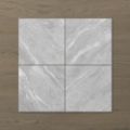 Picture of Pietra Ravine Silver Dollar (Matt) 450x450 (Rounded)