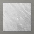 Picture of Pietra Ravine Silver Dollar (Matt) 600x600 (Rounded)