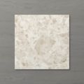 Picture of Terra Palacio Biscuit (Matt) 200x200 (Rectified)