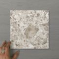 Picture of Terra Palacio Nougat (Matt) 200x200 (Rectified)